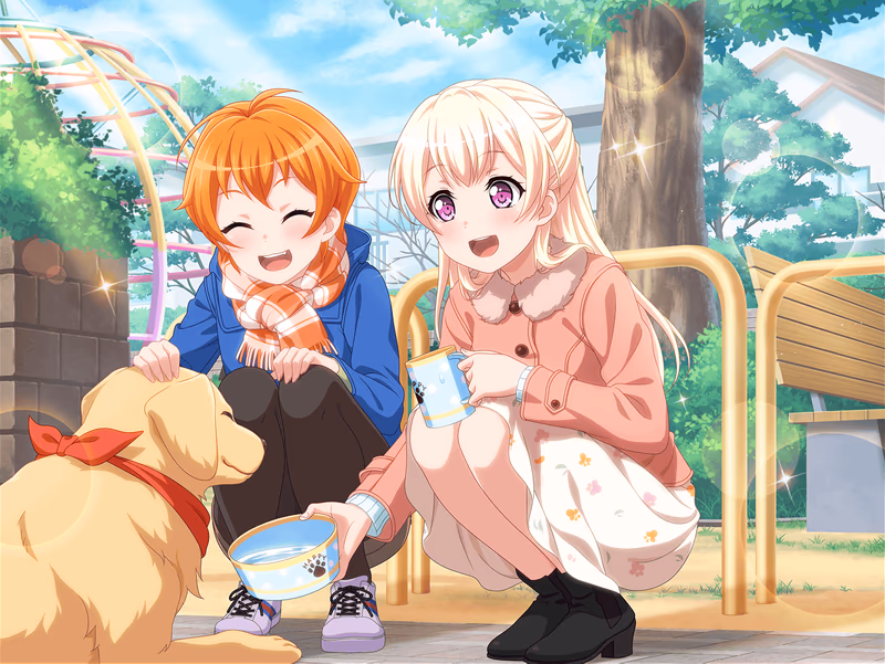 Chisato Shirasagi - A Wonderful Assortment